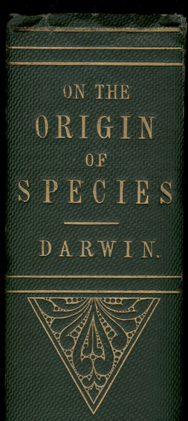 0126darwin188 0126darwin188